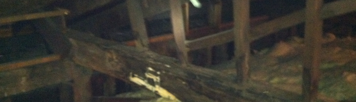 Old roof structure showing damage to the framing