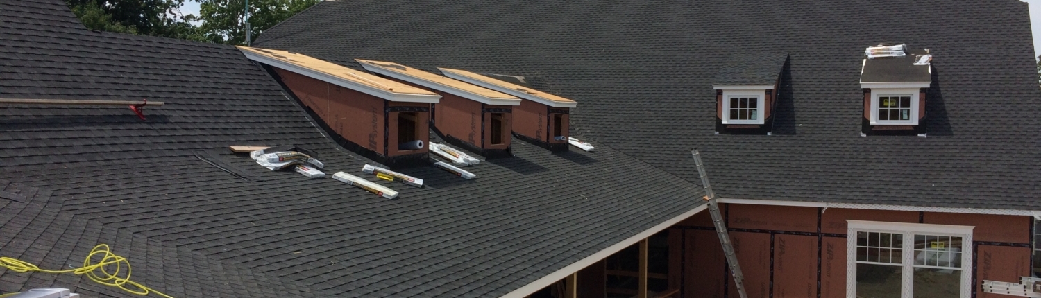 Roof of structure showing unique shape of roof